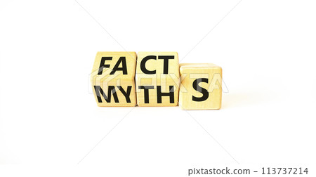 Facts or myths symbol. Concept word Myths and Facts. Beautiful white table white background. Business and facts or myths fact myth concept. Copy space. 113737214
