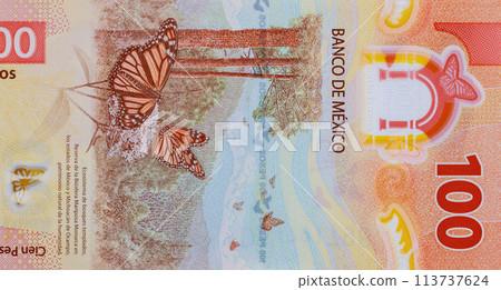 New Mexican money bills currency Mexico 100 pesos banknote close up 113737624