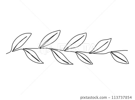Branch with leaves, one line drawing vector illustration. 113737854