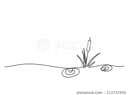 Single Reed Illustration Reed or marsh hornwort, one line drawing vector... - Stock Illustration ...