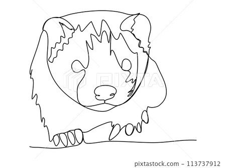 Ferret. One line drawing vector illustration. Ferret. One line drawing vector illustration. 113737912