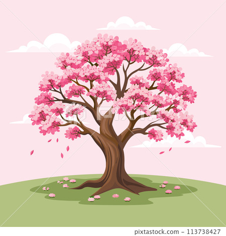 Beautiful cherry blossom tree with pink flowers. Sakura illustration. Vector Beautiful cherry blossom tree with pink flowers. Sakura illustration. Vector 113738427