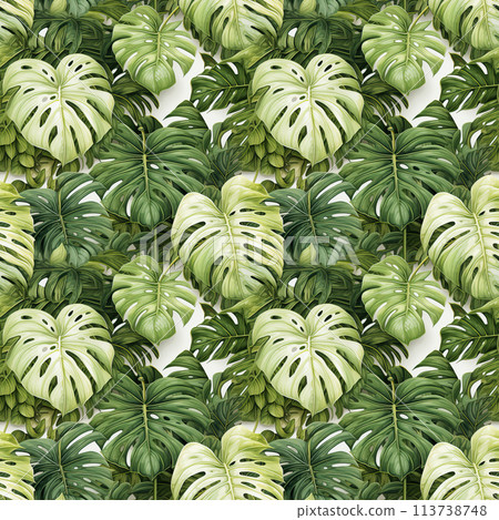 Seamless pattern with watercolor monstera leaves 113738748