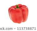 Bright red peppers on white isolated background for vegetarian dishes closeup. 113738871