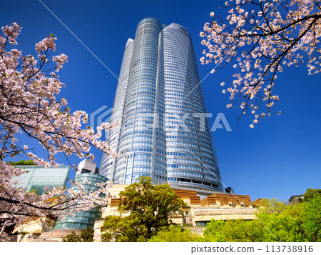 Cherry blossoms in full bloom at Mouri Garden and Roppongi Hills, Tokyo 113738916