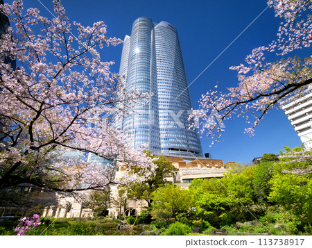 毛利花園和六本木新城櫻花盛開，東京 113738917