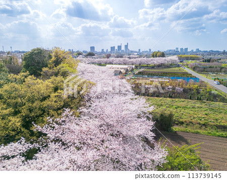 「埼玉縣」用無人機拍攝春天的見沼稻田 「埼玉縣」用無人機拍攝春天的見沼稻田 113739145
