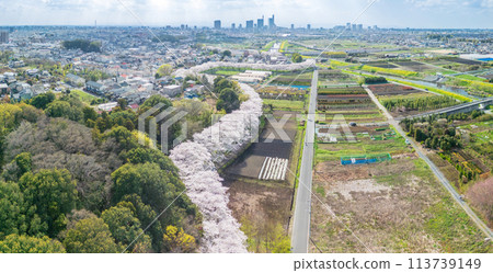 Saitama Prefecture: Drone captures Minuma rice fields in spring 113739149