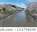 2024年，春天的天空中，河面上漂浮著櫻花花瓣 113739245