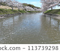 2024年春天的天空中櫻花漂浮在河面上 113739298