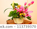 插花 113739370