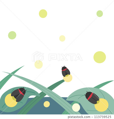 Illustration of a firefly resting on a leaf and a firefly flying, aspect ratio 1:1 version, square Illustration of a firefly resting on a leaf and a firefly flying, aspect ratio 1:1 version, square 113739525