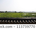 water canal in the city water canal in the city 113739770