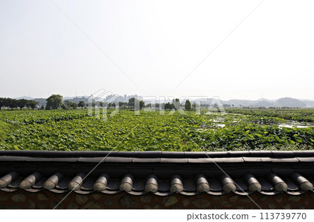 water canal in the city 113739770