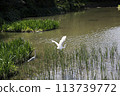 water canal in the city water canal in the city 113739772