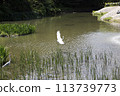 water canal in the city water canal in the city 113739773
