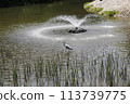 water canal in the city water canal in the city 113739775