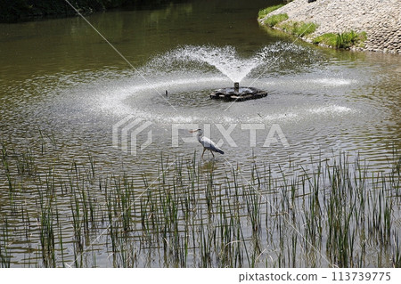 water canal in the city 113739775