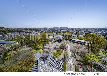 National treasure Inuyama Castle 113740143
