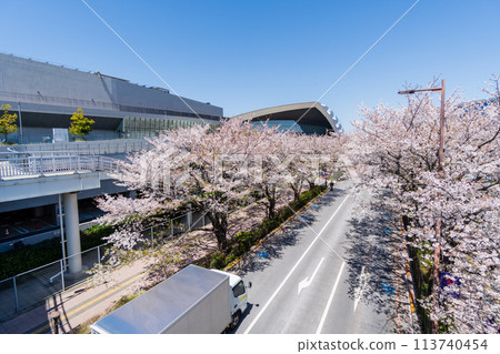 東京,東京,櫻花盛開的球場街 東京,東京,櫻花盛開的球場街 113740454