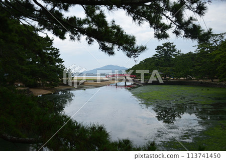 Tsuda no Matsubara's Wish Bridge Tsuda no Matsubara's Wish Bridge 113741450