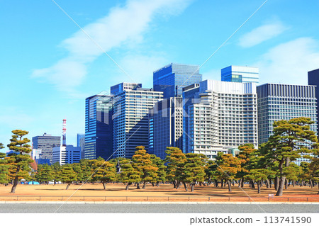 Scenery of the Imperial Palace Garden and buildings in Chiyoda Ward, Tokyo 113741590