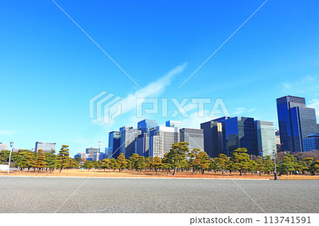 東京千代田區皇居花園和建築物的風景 東京千代田區皇居花園和建築物的風景 113741591