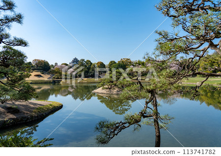 Okayama Prefecture: Spring in Okayama Korakuen, a garden with a view of Okayama Castle 113741782