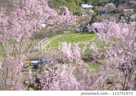 Spring morning view from the top of Hanamiyama Park, Fukushima Prefecture 113741873