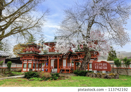 Cherry blossoms at Komachido Cherry blossoms at Komachido 113742192