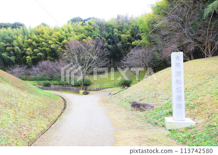 Sake boat ruins 113742580