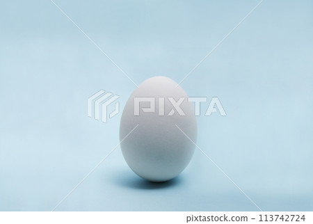 雞蛋是站著的。他在簡單的淡藍色背景下高高地站著，給人一種啟發的感覺。 113742724