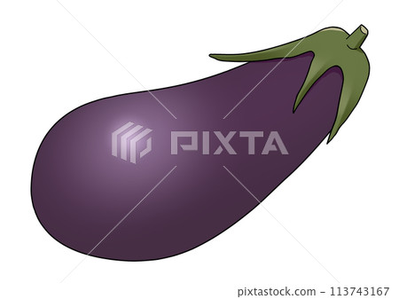 Simple eggplant illustration 113743167