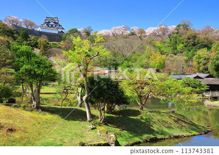 [Shiga Prefecture] Hikone Castle tower and Genkyuen Garden with cherry blossoms in full bloom 113743381