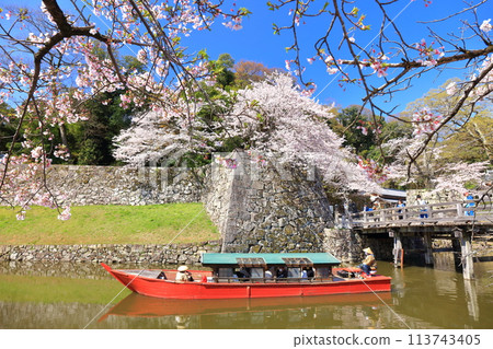 [滋賀縣]晴天時彥根城護城河上的船屋和櫻花盛開 113743405