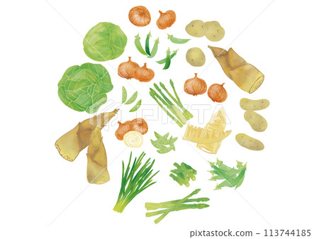 Watercolor spring vegetable set 2 113744185