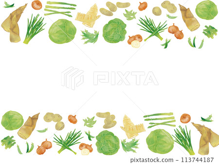 Watercolor spring vegetable frame Watercolor spring vegetable frame 113744187