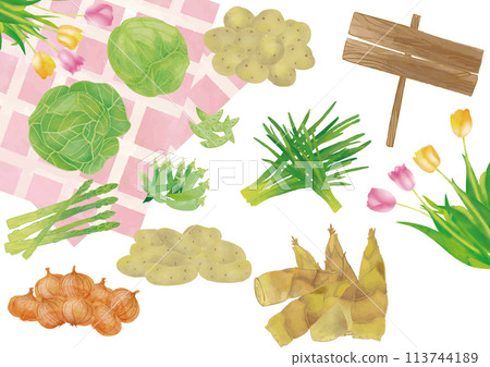 Watercolor style spring vegetables and yellow and pink tulips set 113744189