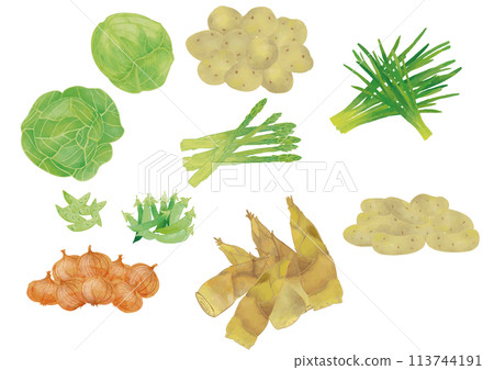 水彩風格春菜套裝1 113744191