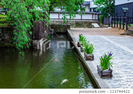 Hida Kagawa 113744422