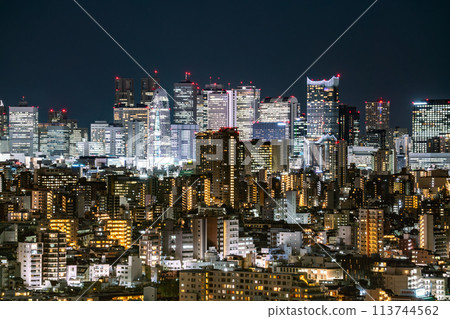 [東京]新宿副中心的夜晚 113744562