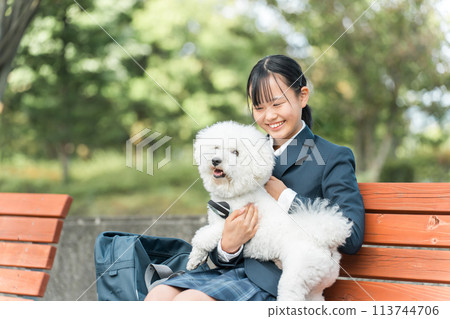 Smiling junior high school/high school girl in uniform/blazer sitting on a park bench with a dog (pet/walking) Smiling junior high school/high school girl in uniform/blazer sitting on a park bench with a dog (pet/walking) 113744706