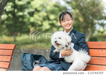 Smiling junior high school/high school girl in uniform/blazer sitting on a park bench with a dog (pet/walking) 113744707
