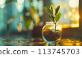 人工智慧產生金錢和植物生長的圖像，為未來省錢 113745703