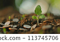 人工智慧產生金錢和植物生長的圖像，為未來省錢 113745706