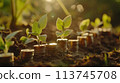 人工智慧產生金錢和植物生長的圖像，為未來省錢 113745708