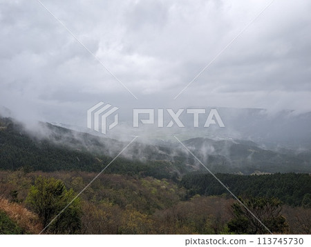 自然 自然 113745730