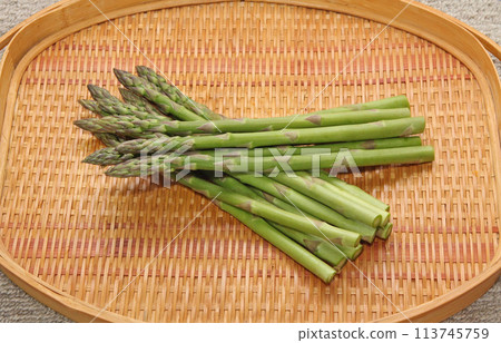 Asparagus, green asparagus, Hokkaido asparagus Asparagus, green asparagus, Hokkaido asparagus 113745759