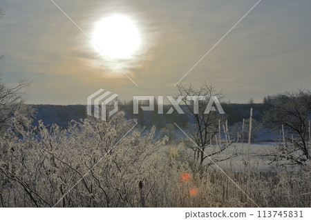 鶴居村美麗的霜凍樹木在陽光下閃閃發光 113745831