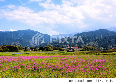 黃耆田、麥田與天空:糸島的田園風光 黃耆田、麥田與天空:糸島的田園風光 113745910
